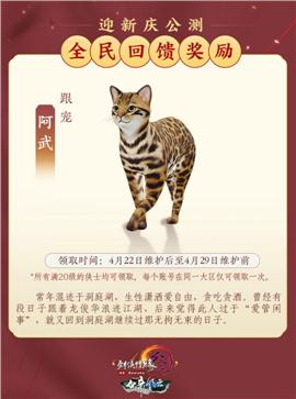 毒素 天龙八部私服